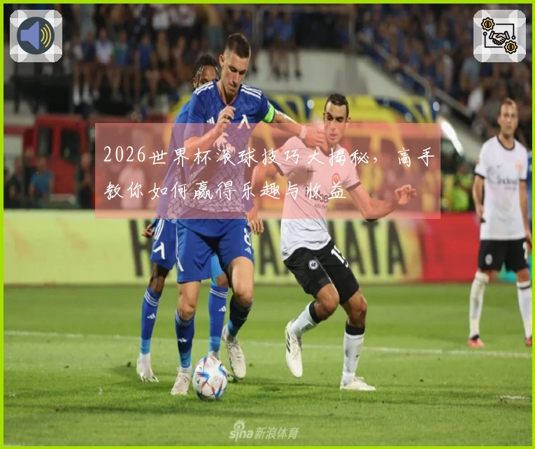 2026世界杯滚球技巧大揭秘，高手教你如何赢得乐趣与收益