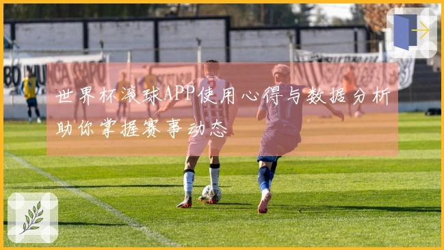 世界杯滚球APP使用心得与数据分析助你掌握赛事动态