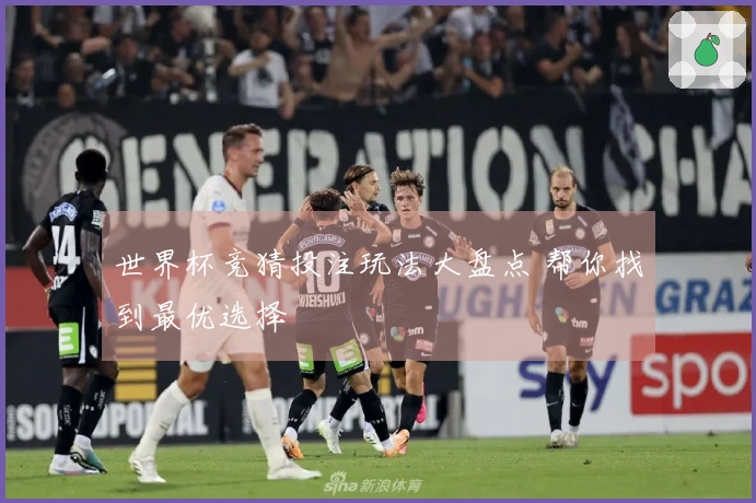 世界杯竞猜投注玩法大盘点 帮你找到最优选择