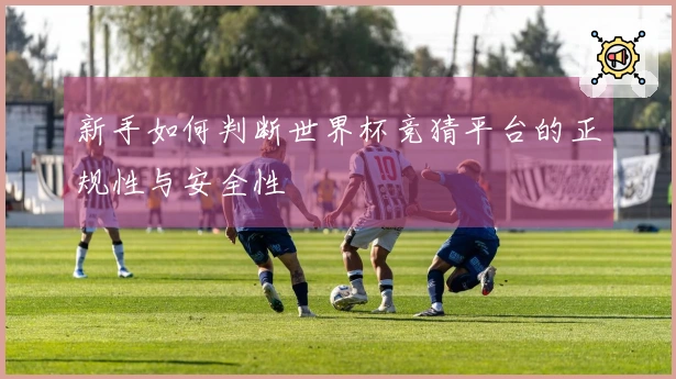 新手如何判断世界杯竞猜平台的正规性与安全性
