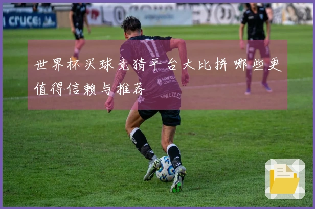世界杯买球竞猜平台大比拼 哪些更值得信赖与推荐