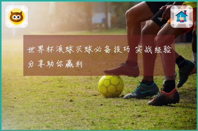 世界杯滚球买球必备技巧 实战经验分享助你赢利