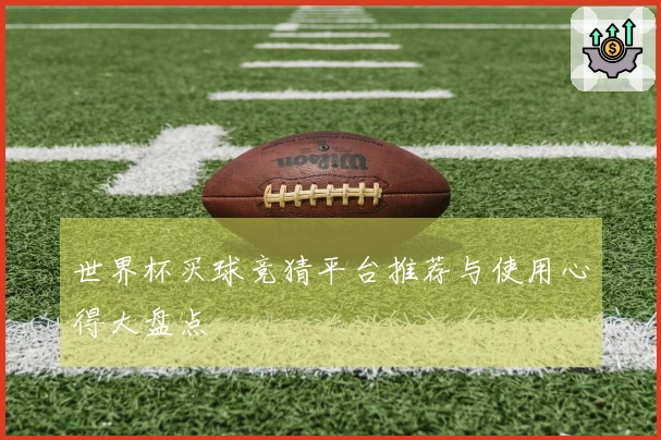 世界杯买球竞猜平台推荐与使用心得大盘点