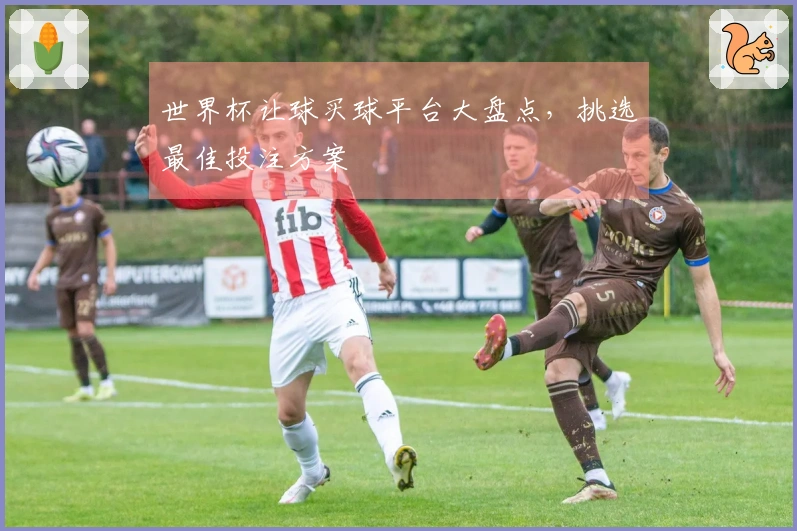 世界杯让球买球平台大盘点，挑选最佳投注方案