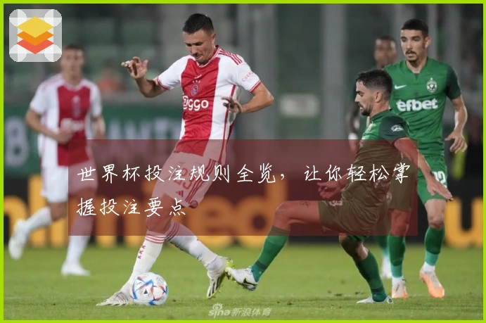 世界杯投注规则全览,让你轻松掌握投注要点