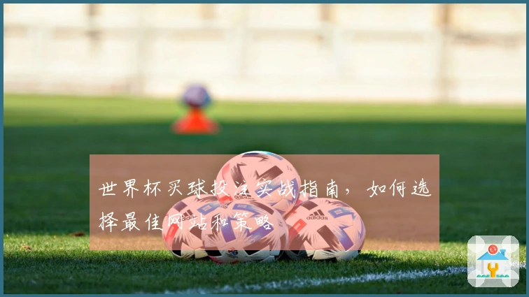 世界杯买球投注实战指南，如何选择最佳网站和策略