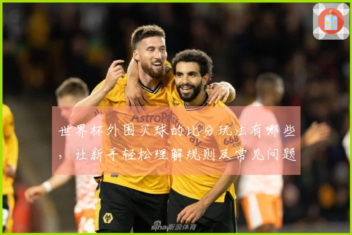 世界杯外围买球的比分玩法有哪些，让新手轻松理解规则及常见问题解决方案
