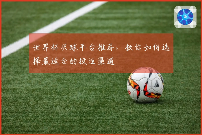 世界杯买球平台推荐，教你如何选择最适合的投注渠道