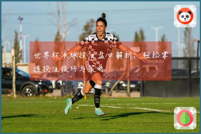 世界杯滚球投注盘口解析：轻松掌握投注技巧与策略