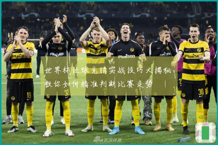世界杯让球竞猜实战技巧大揭秘，教你如何精准判断比赛走势