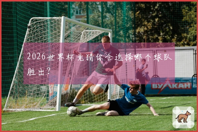 2026世界杯竞猜你会选择哪个球队胜出？