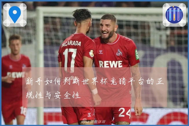 新手如何判断世界杯竞猜平台的正规性与安全性