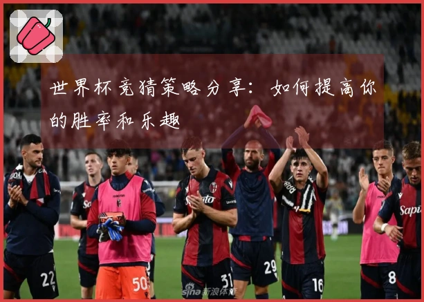 世界杯竞猜策略分享：如何提高你的胜率和乐趣