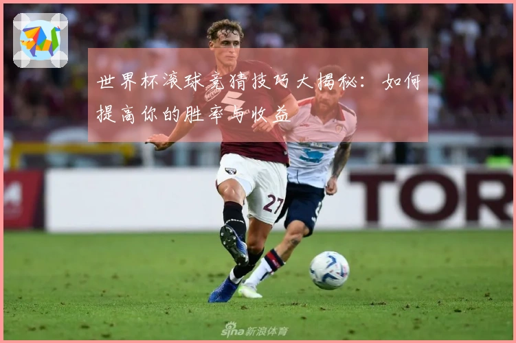 世界杯滚球竞猜技巧大揭秘:如何提高你的胜率与收益