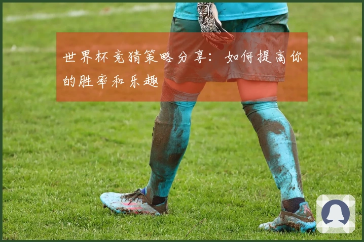 世界杯竞猜策略分享:如何提高你的胜率和乐趣