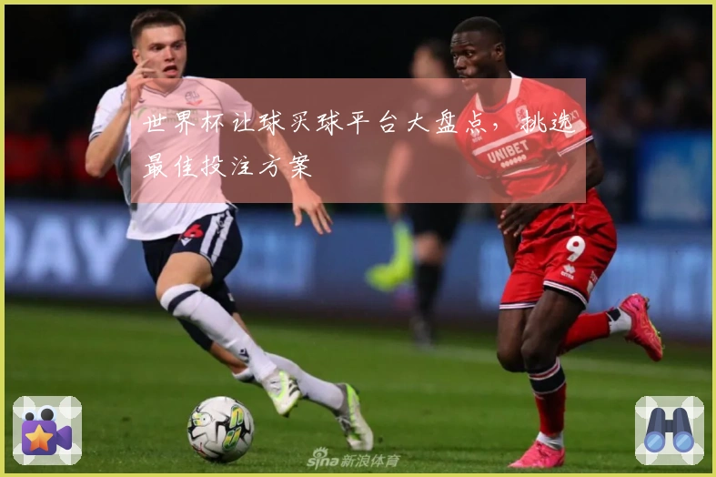 世界杯让球买球平台大盘点,挑选最佳投注方案