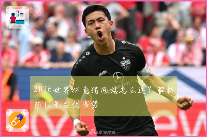 2026世界杯竞猜网站怎么选？解析热门平台优劣势