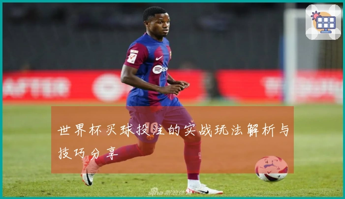 世界杯买球投注的实战玩法解析与技巧分享