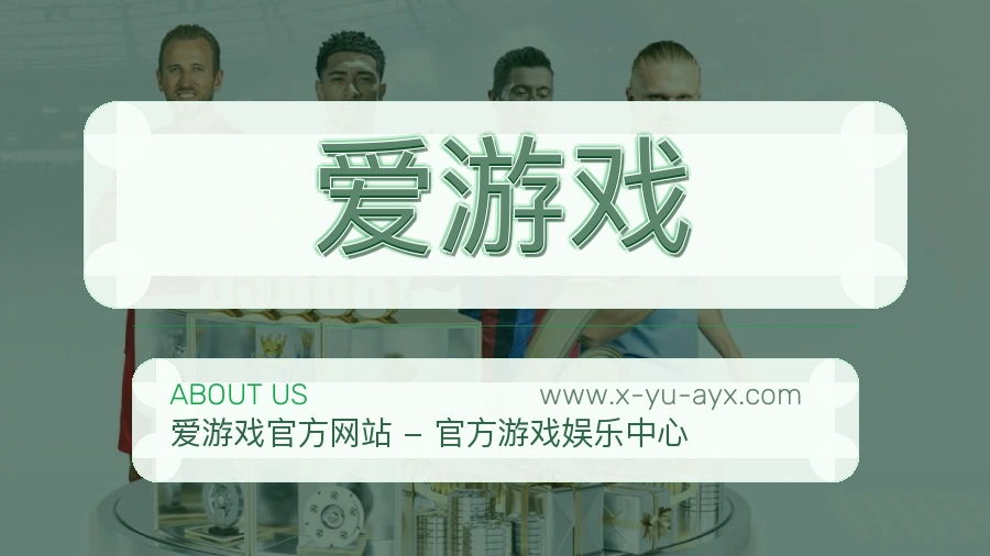平台展示